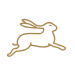 Hare_Running
