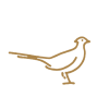 pheasant