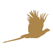 pheasant-solid